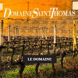 Domaine Saint Thomas